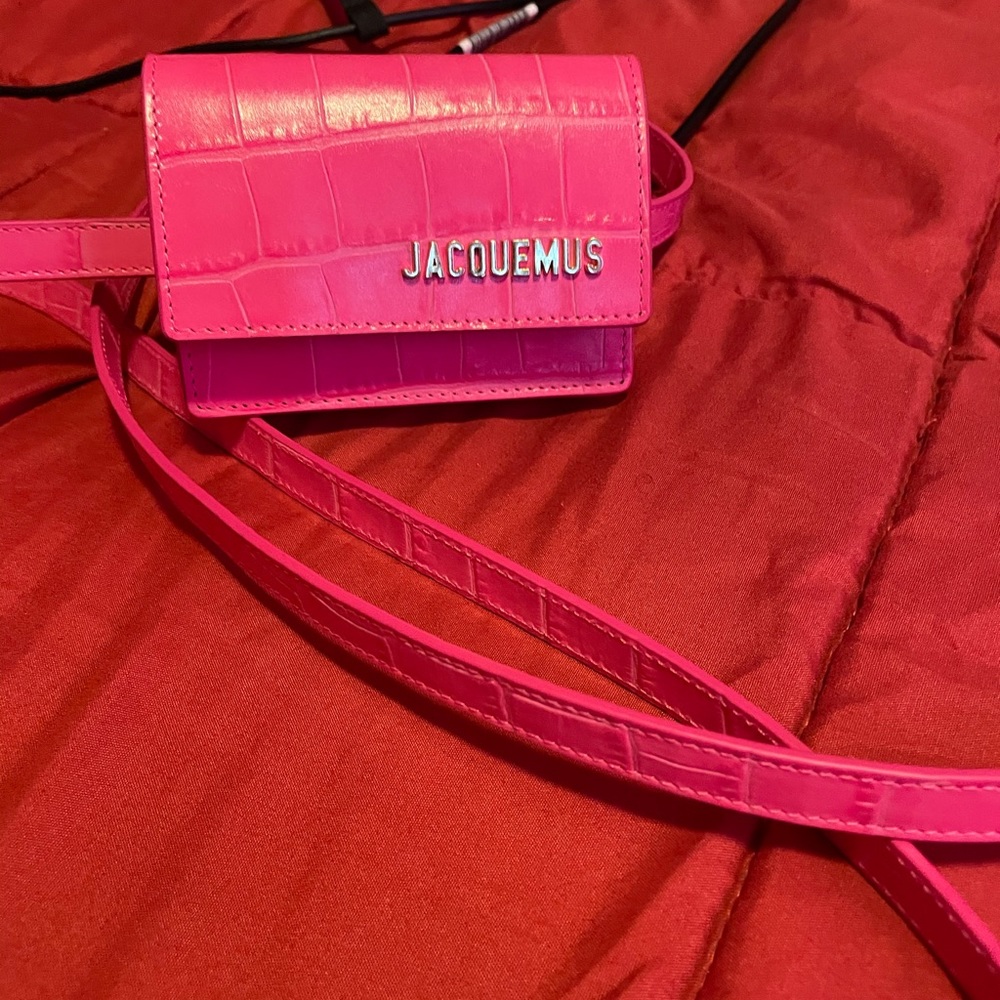 Belt Bag Worn Once Dust Bag Still Inside